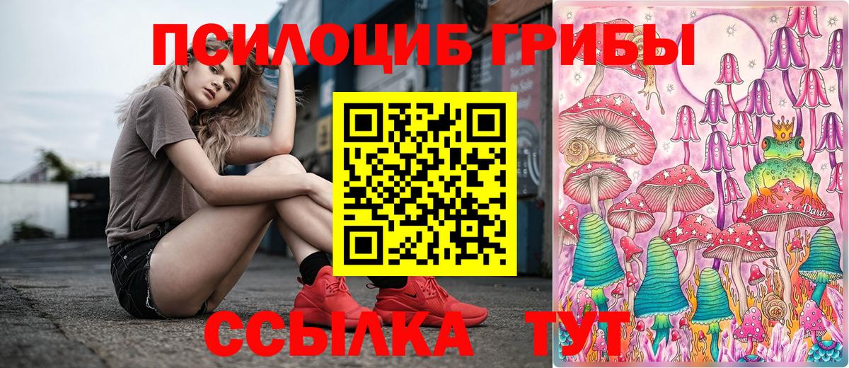 Галлюциногенные грибы Psilocybe  где продают   Конаково  Вход с VPN 